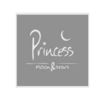 logo princess moon & stars - agencia de marketing digital